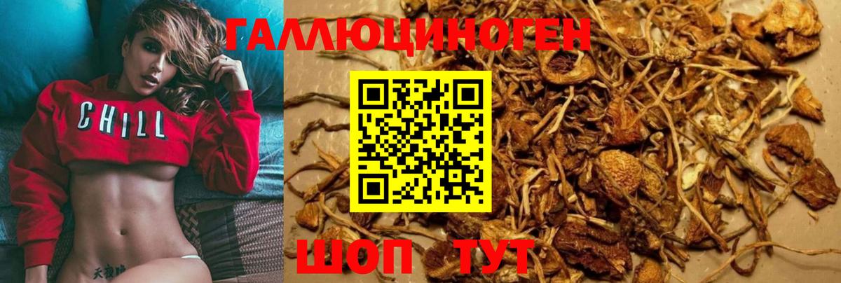 Галлюциногенные грибы мухоморы Гай