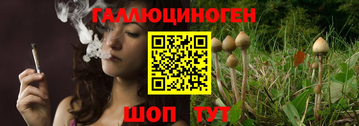 что такое   Галлюциногенные грибы ЛСД  Вход с VPN  Гай  Псилоцибиновые грибы прущие грибы 